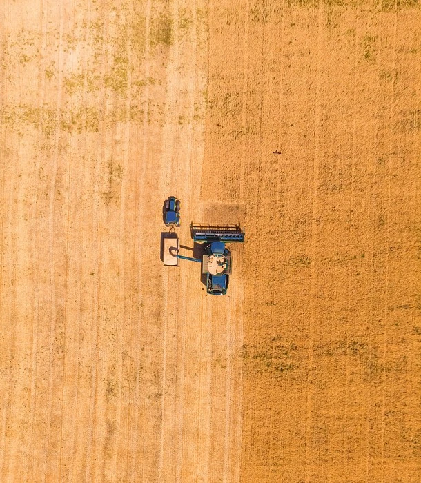 Agrícola Vega: Experiencia en el campo y trabajos agrícolas